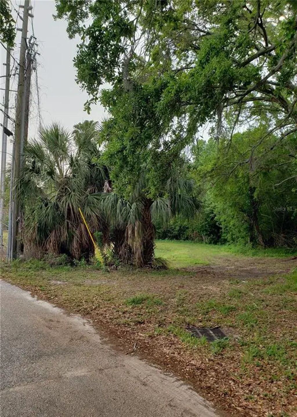 Grosse Avenue, TARPON SPRINGS