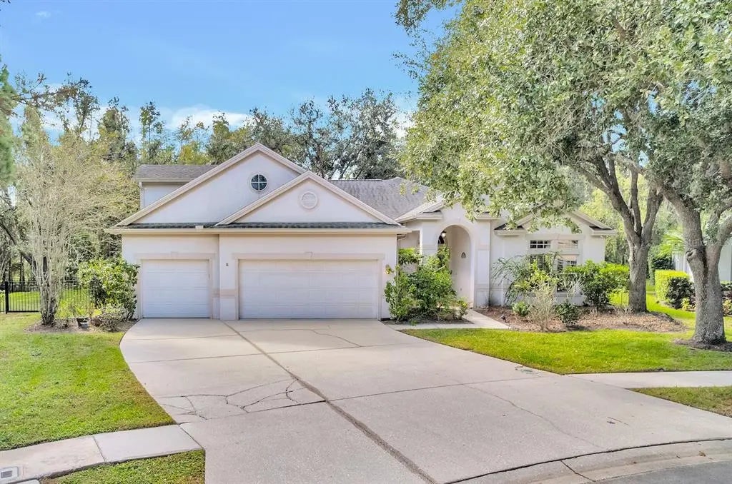 10218 Shadow Branch Drive, TAMPA