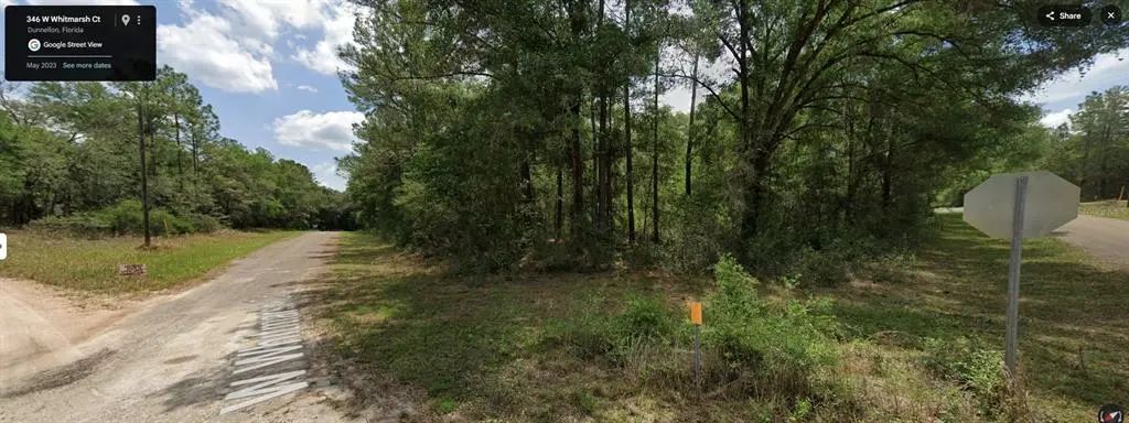 346 W Whitmarsh Court, CITRUS SPRINGS