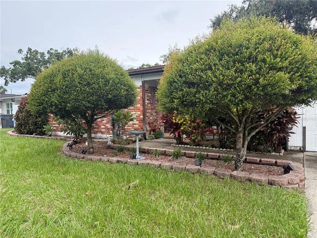 6022 Murray Hill Drive, TAMPA