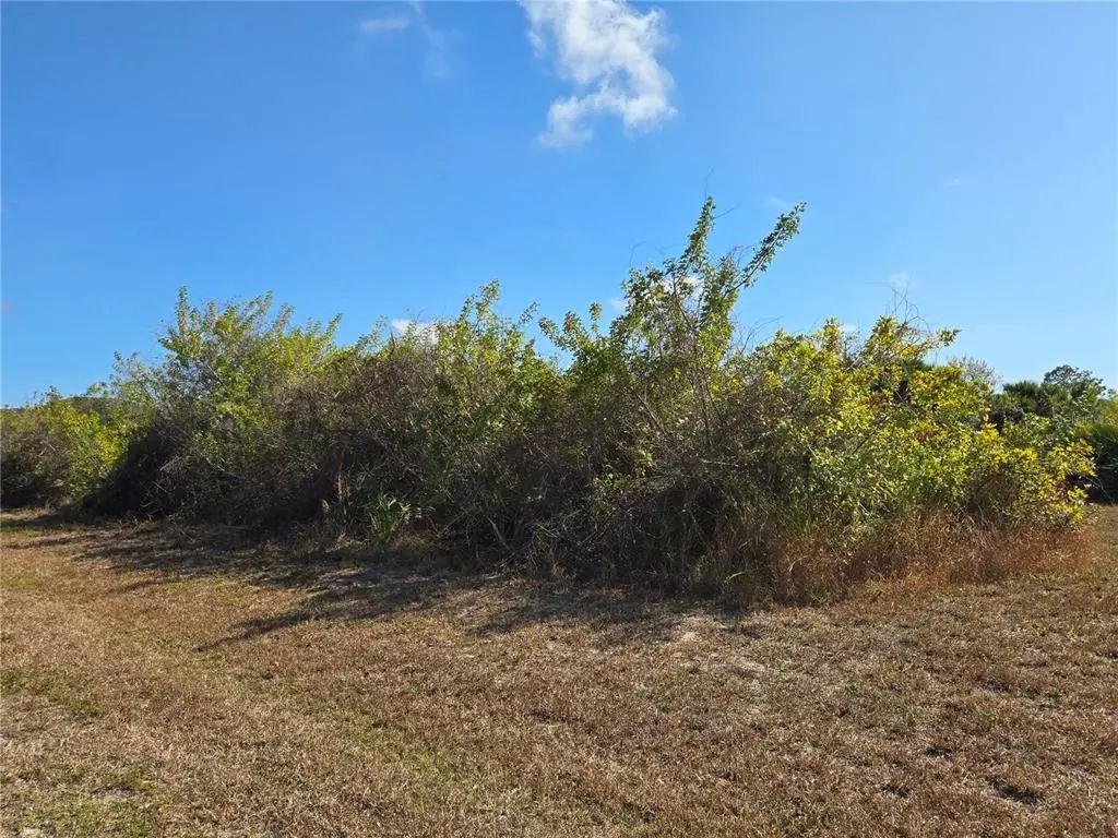 277 Baytree Drive, ROTONDA WEST
