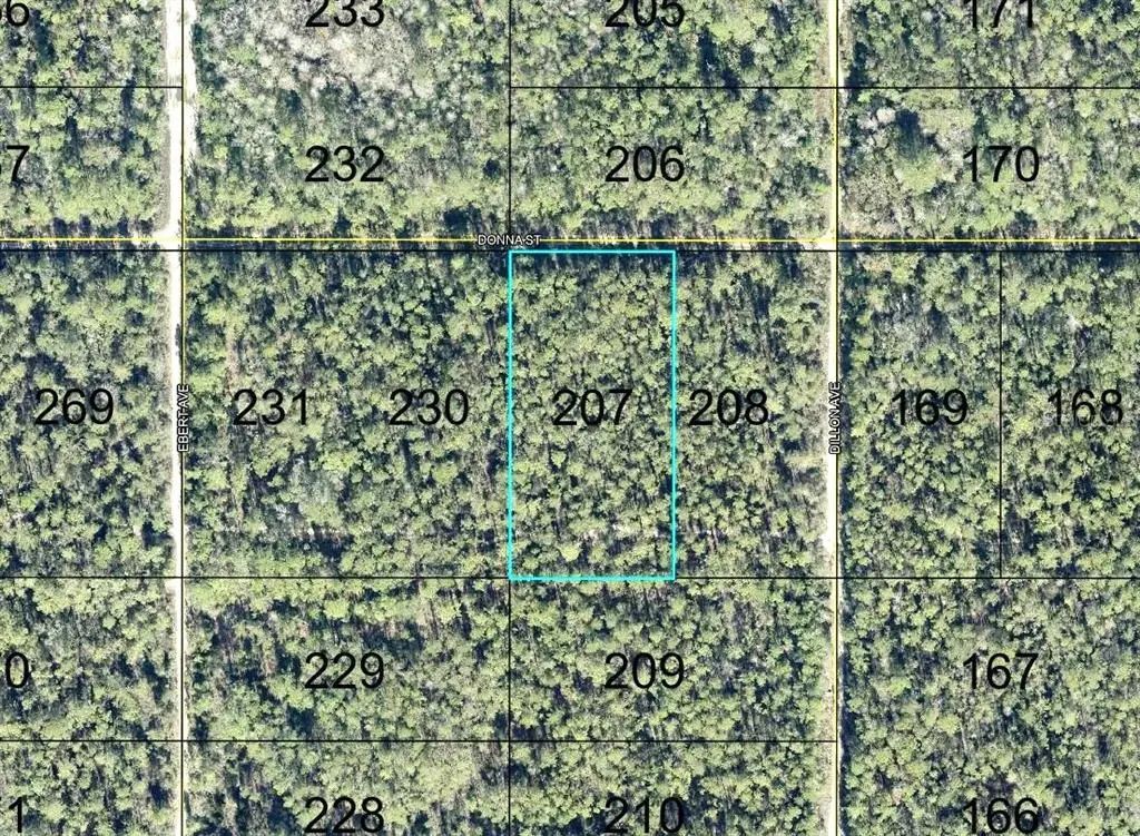 207 Donna Street, HASTINGS