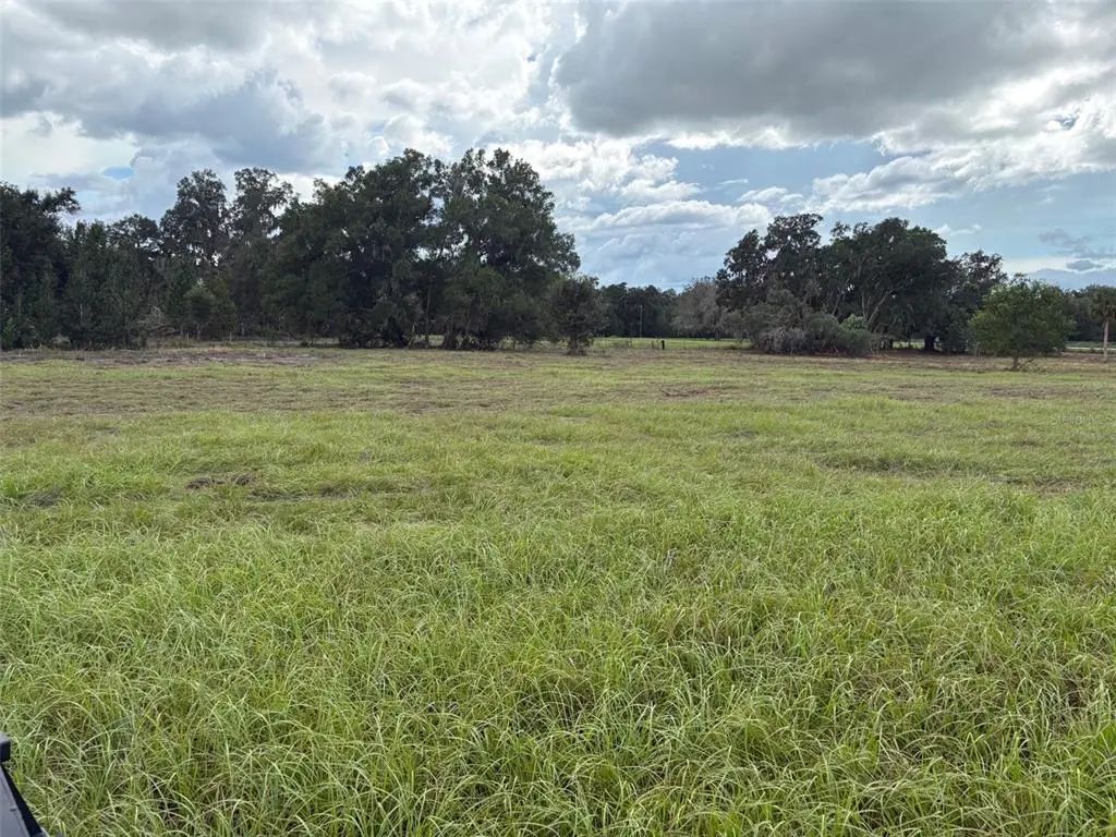 Pump Station Rd, LAND O LAKES