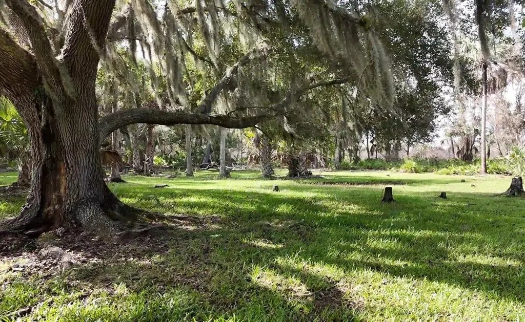 Photo of Listing #C7498337