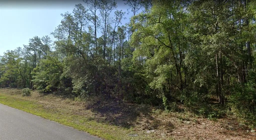 546 E Bimini Drive, DUNNELLON