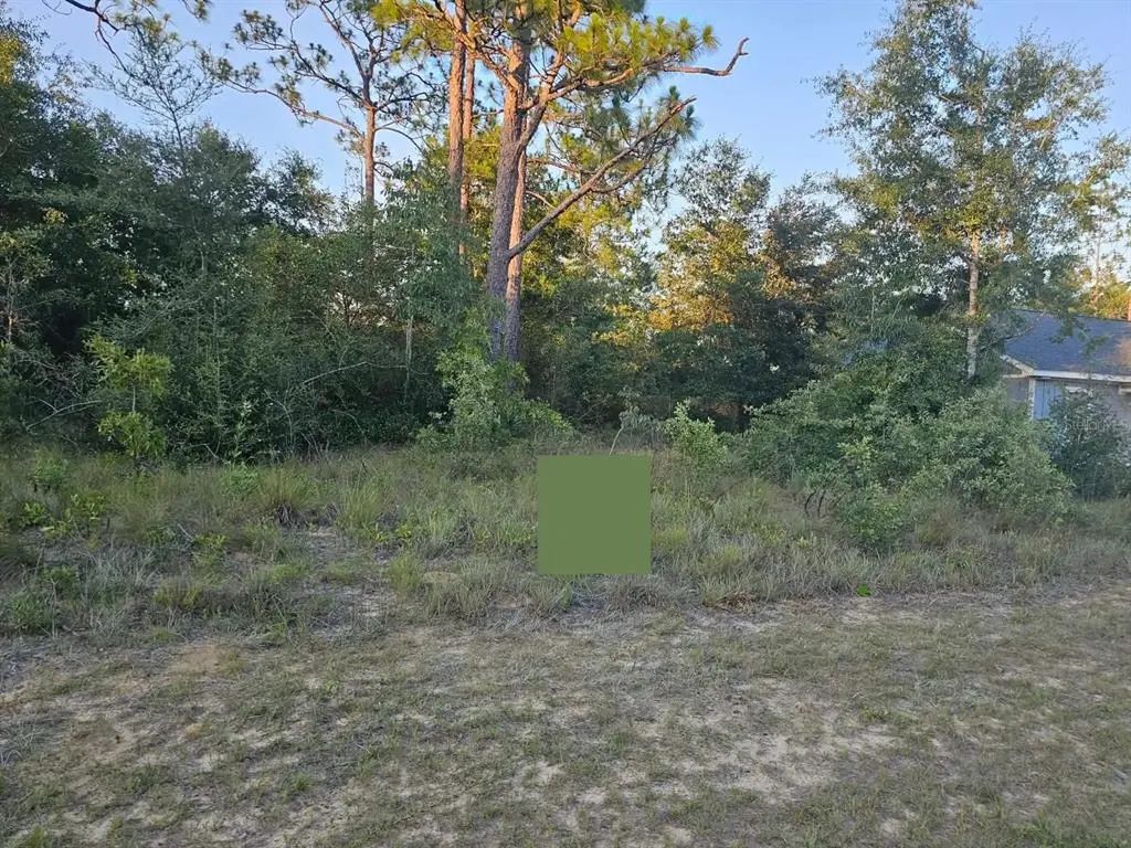 Lot 12 Shenandoah Boulevard, CHIPLEY