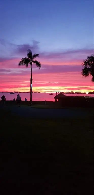 3595 41st Lane S B, ST PETERSBURG