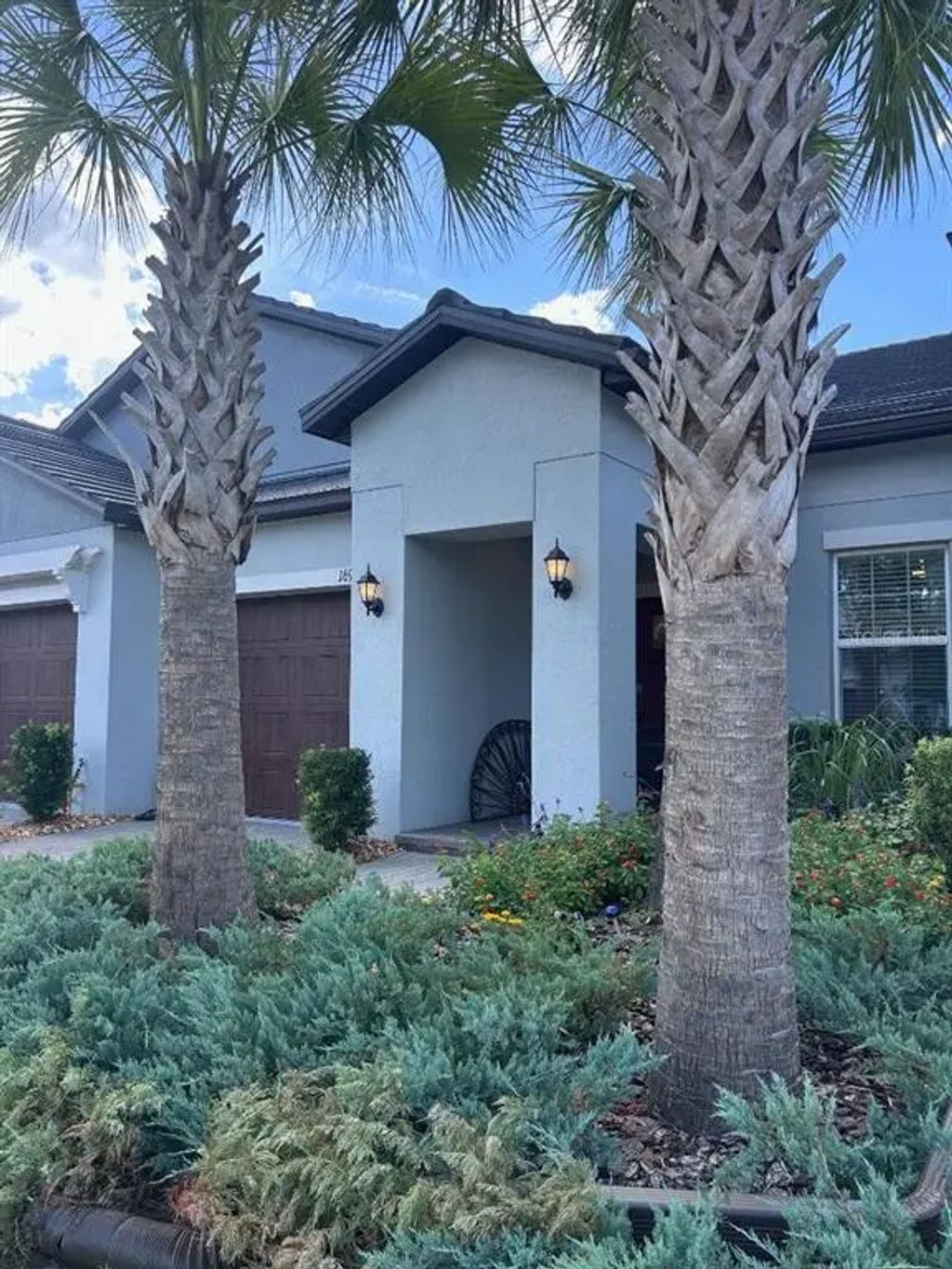 16919 Forge Surf Street, LAND O LAKES