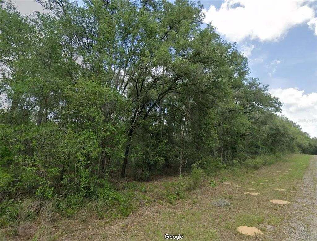 737 E Byrd Loop, DUNNELLON