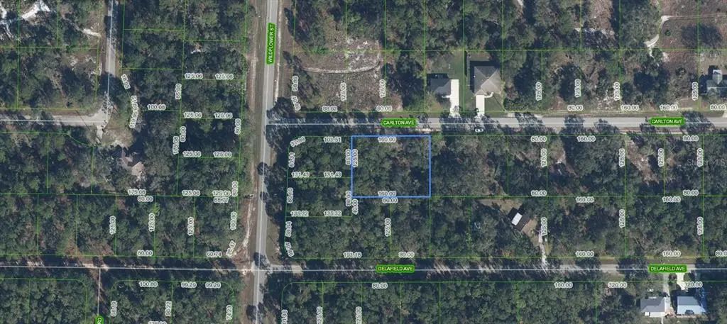3154 Carlton Avenue, LAKE PLACID