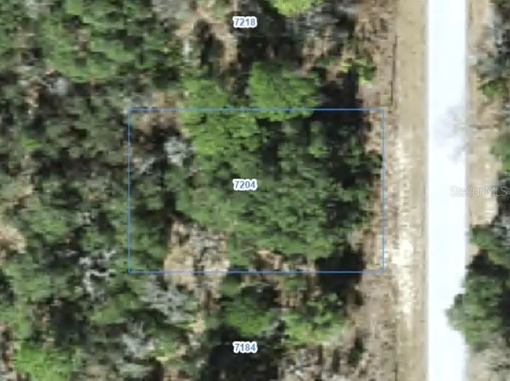 7204 N Ripley Drive, CITRUS SPRINGS