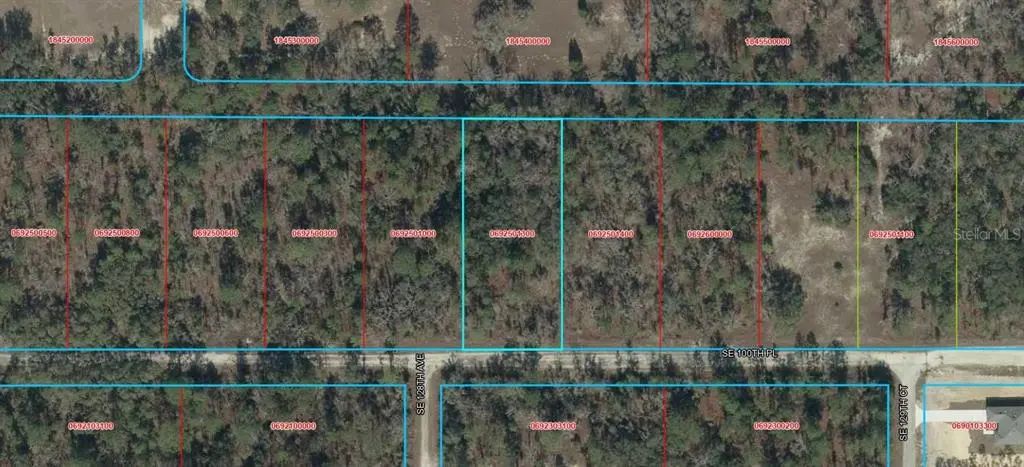 Tbd Se 100th Place, DUNNELLON