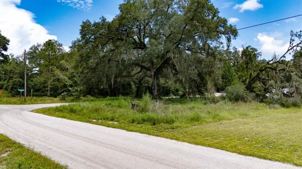 Riderwood Drive, DADE CITY