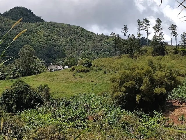 Km 0.2 Int Bo. Helechal Pr 152, BARRANQUITAS