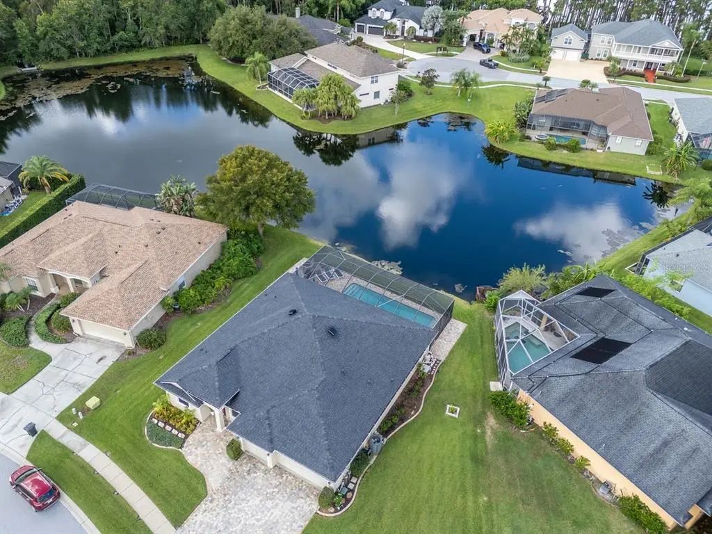 21228 Marsh Hawk Drive, LAND O LAKES