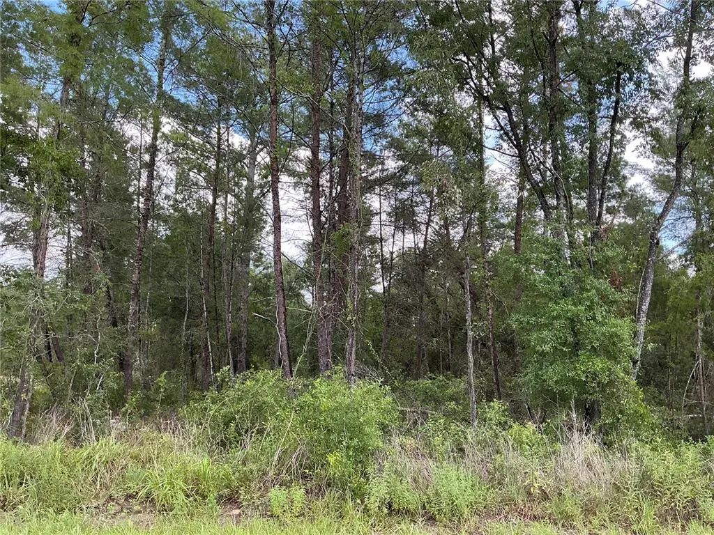 Lot 1 Bay Court Pass, OCKLAWAHA