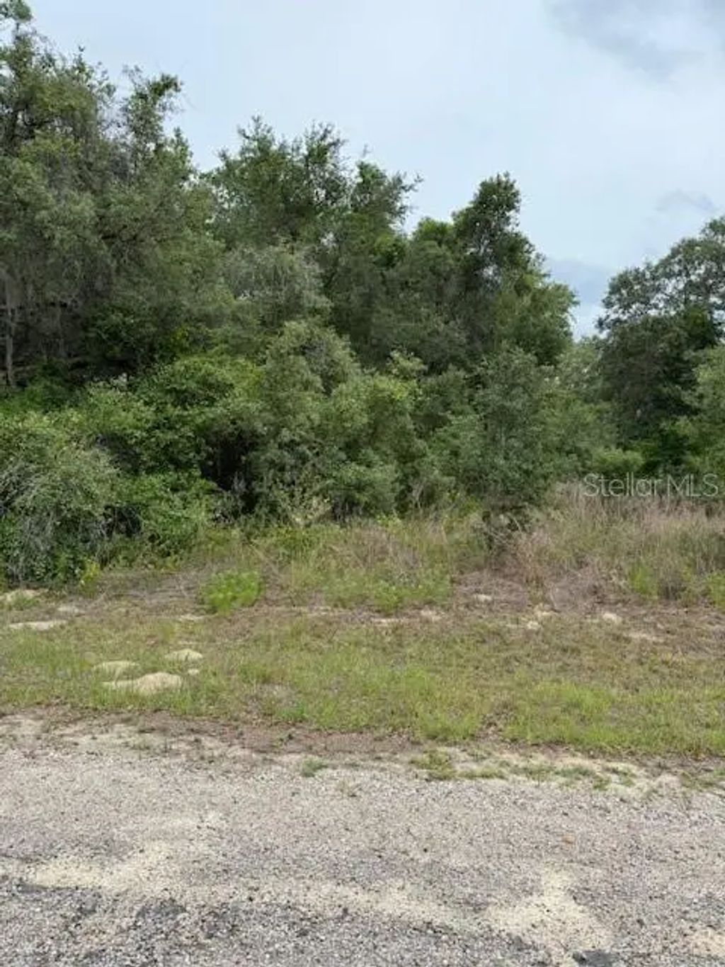 7911 N. Walton Terrace, Citrus Springs