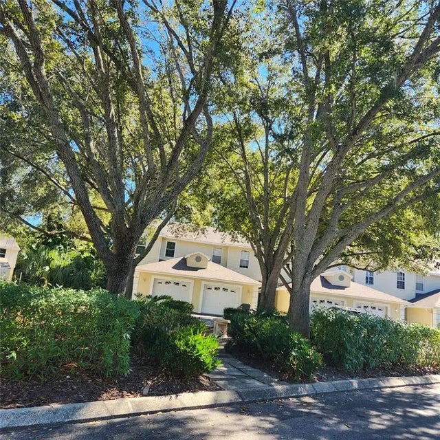 11241 Cedar Hollow Lane, TAMPA