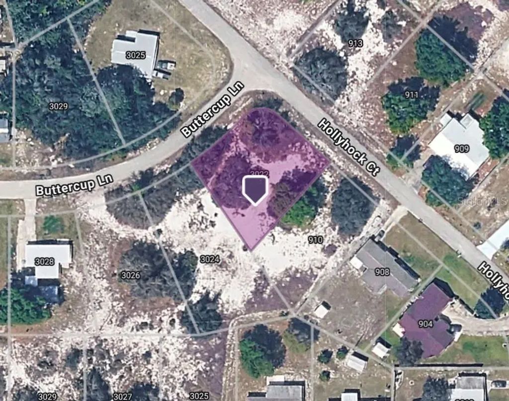 3022 Buttercup Lane, LAKE PLACID