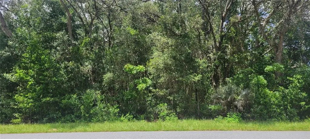 Sw Beach Boulevard, DUNNELLON