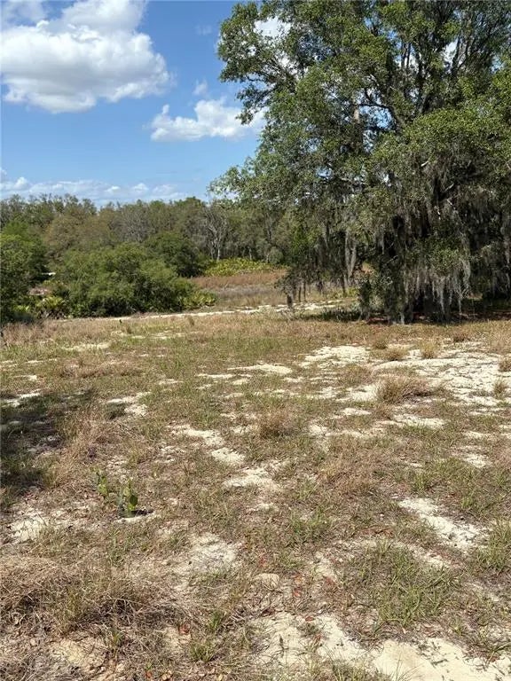 Dicks Road, BABSON PARK