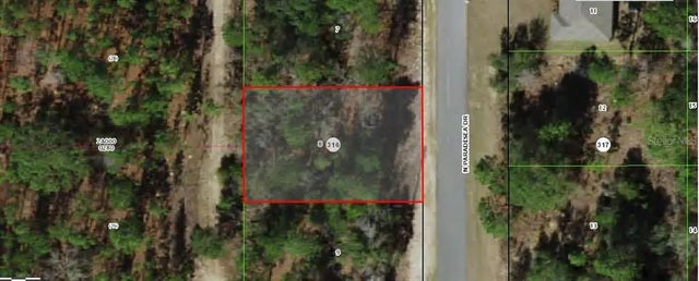 9120 N Paradisea Drive, CITRUS SPRINGS