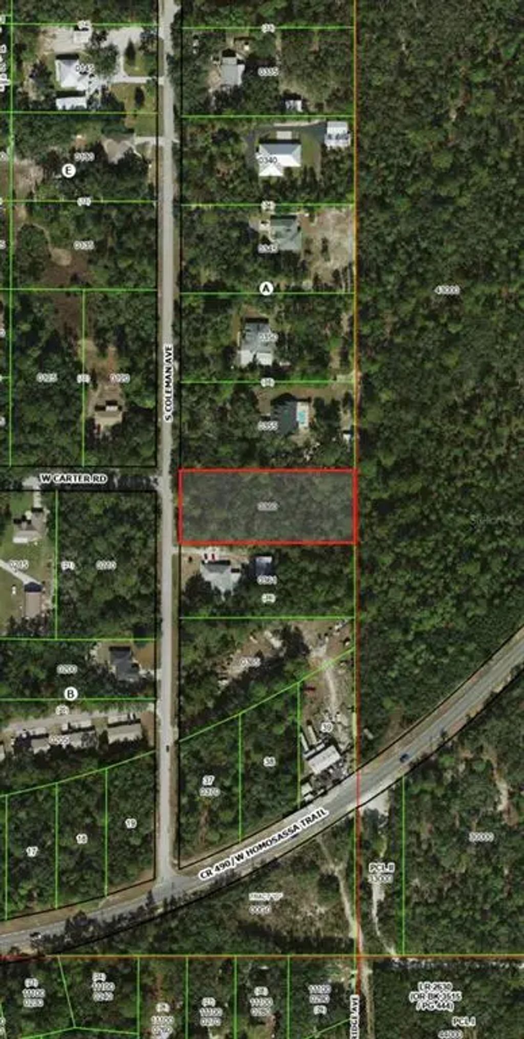 2823 S Coleman Avenue, HOMOSASSA