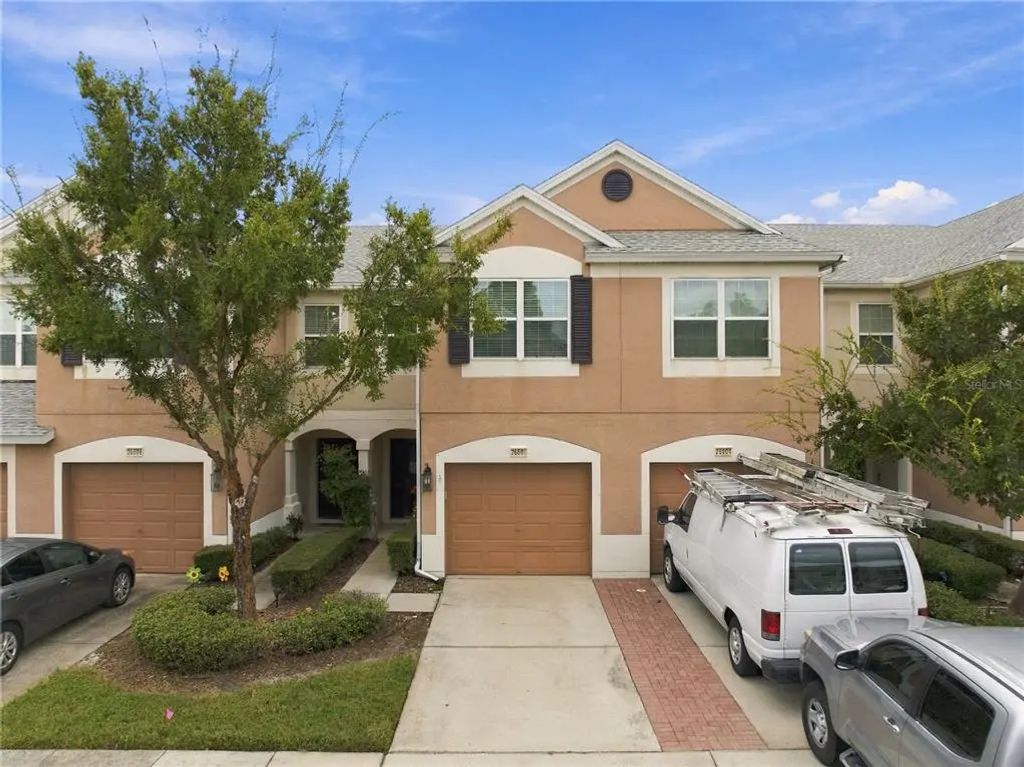 26606 Castleview Way, WESLEY CHAPEL