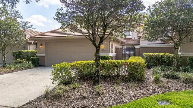 17735 Oak Bridge Street, TAMPA