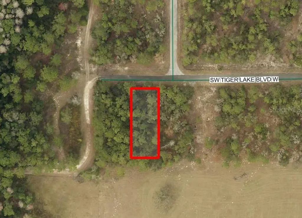 Sw Tiger Lake Boulevard, DUNNELLON