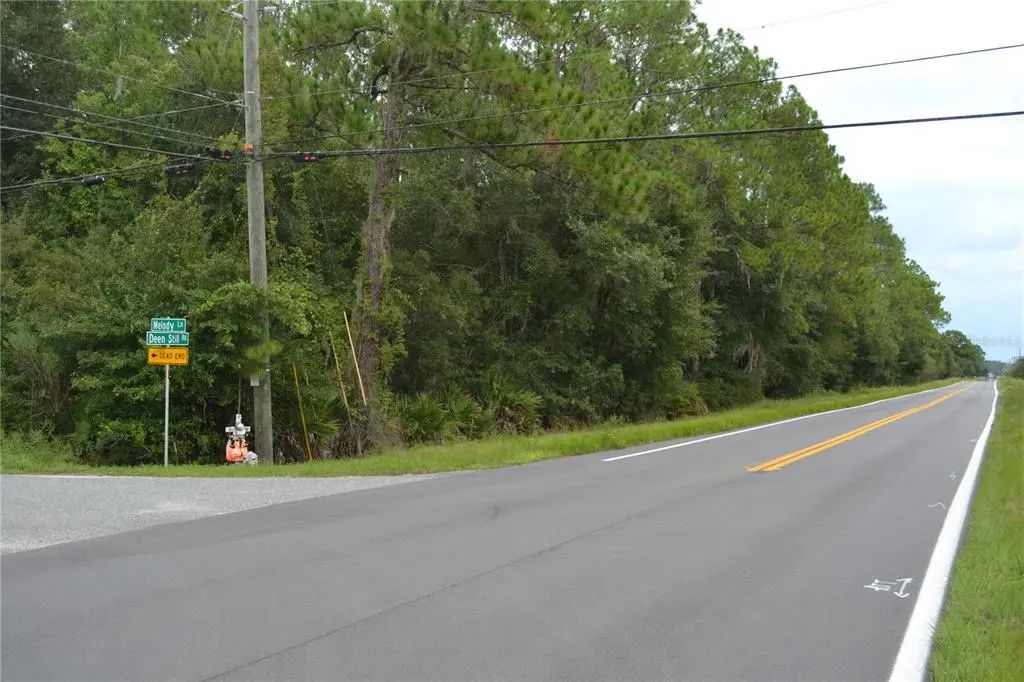 Deen Still Rd W, POLK CITY