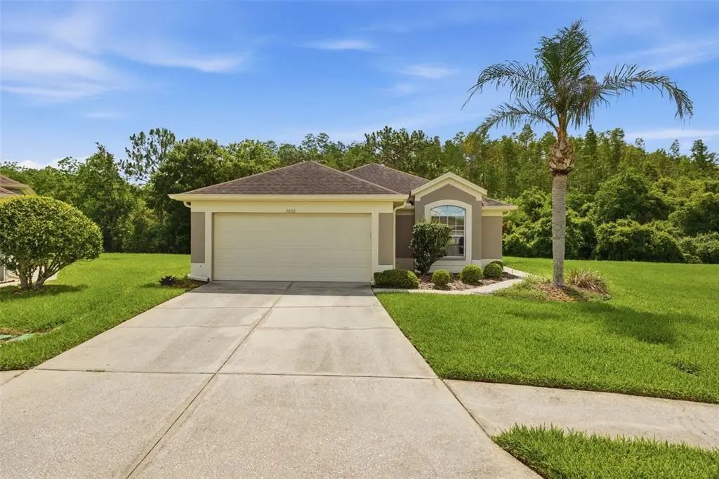 5600 Sir Barton Court, WESLEY CHAPEL