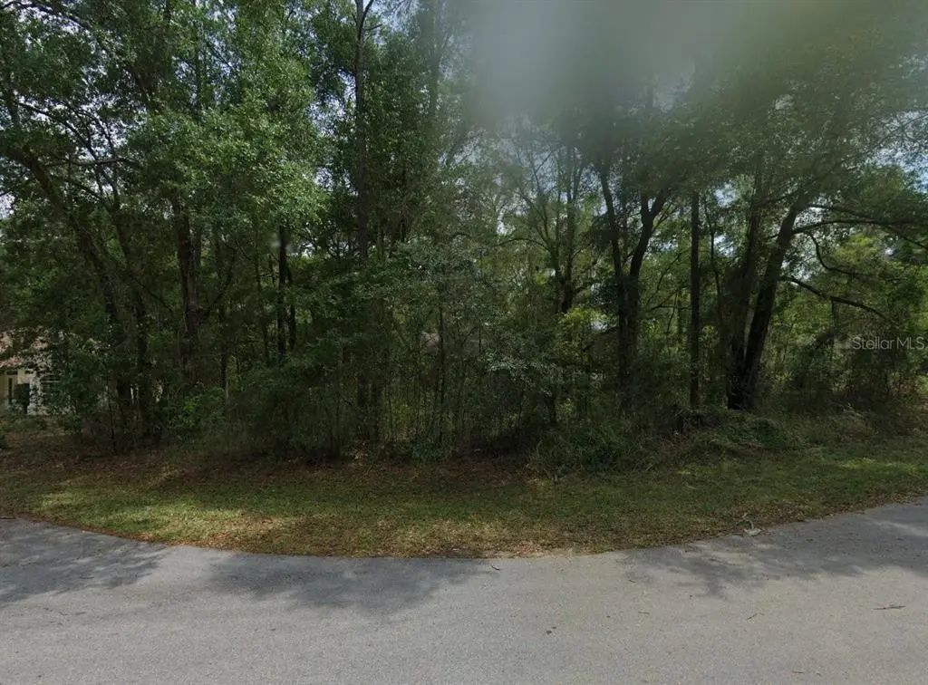 Lot 41 Sw 96th Street, DUNNELLON