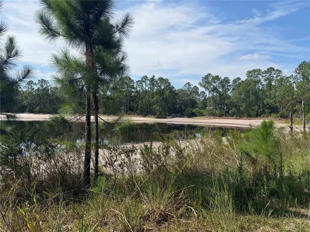 Tbd Malauka Pass Trail, OCKLAWAHA