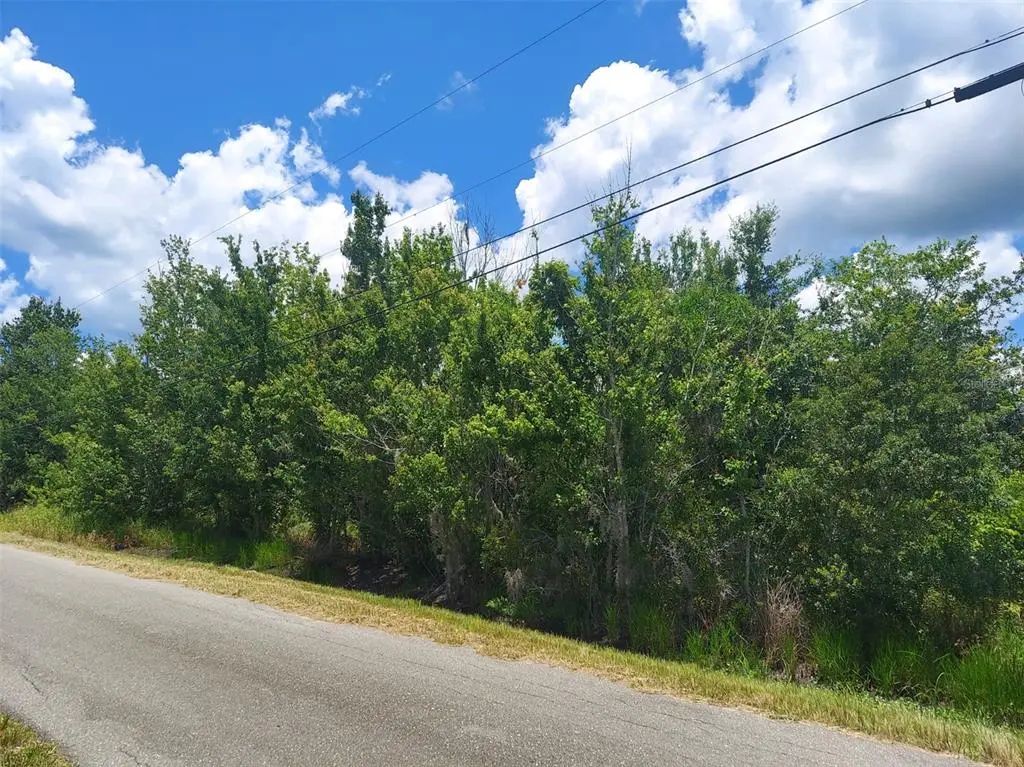 5410 Bob Smith Avenue, PLANT CITY