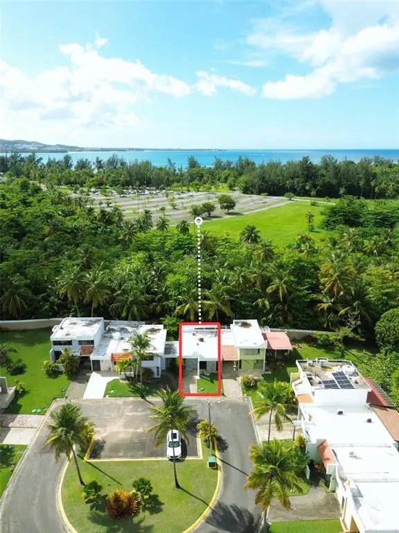 15 Palomino, LUQUILLO