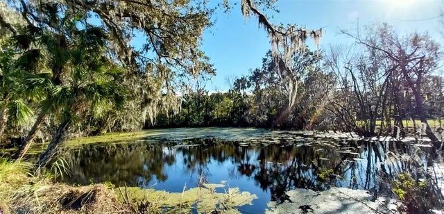 11105 Winn Road, RIVERVIEW