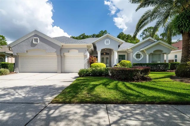 17521 Edinburgh Drive, TAMPA