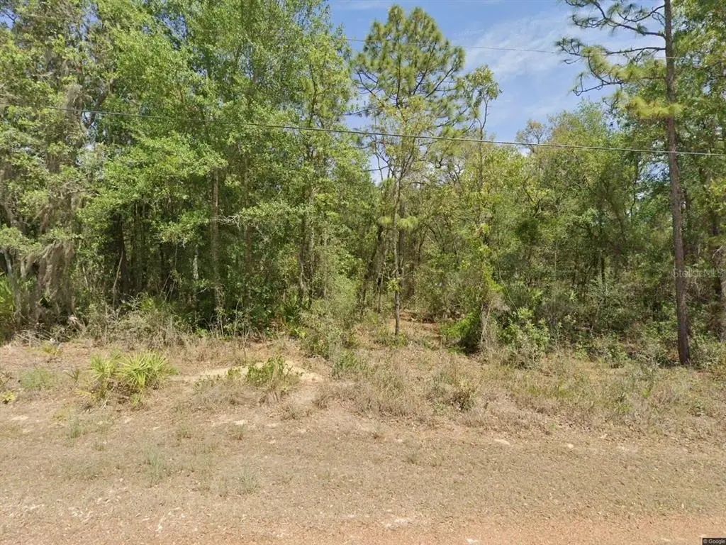 6575 W Pershing Drive, HOMOSASSA