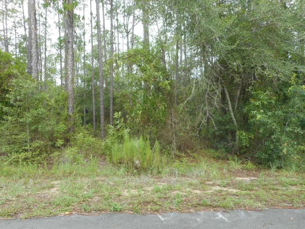 Lot 5 Sw Southview Court, DUNNELLON