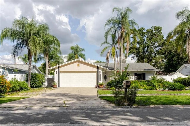 15909 Crying Wind Drive, TAMPA