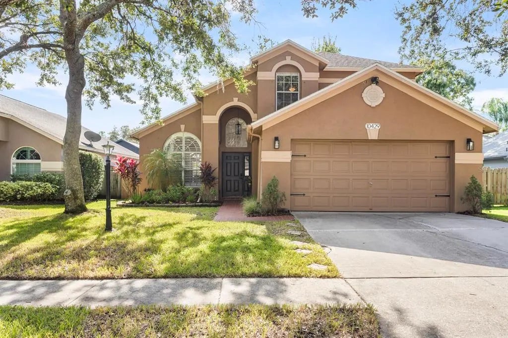 10429 Springrose Drive, TAMPA