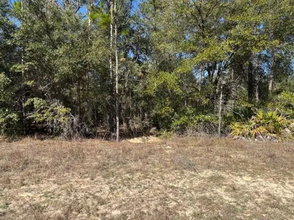497 W Hummingbird Drive, Citrus Springs