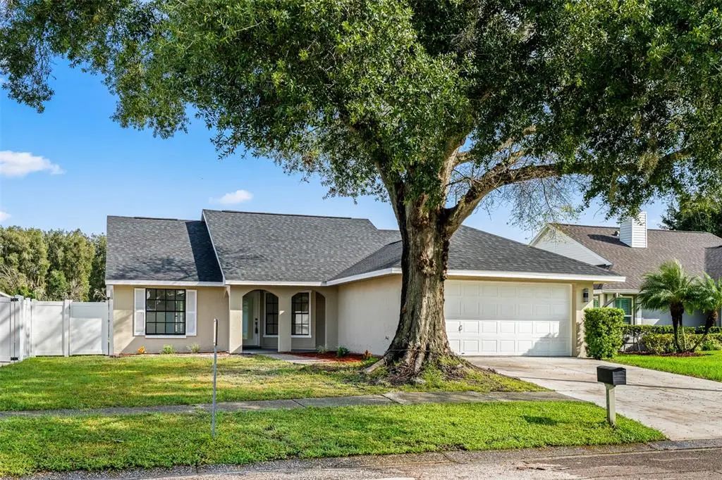 7131 Hollowell Drive, TAMPA