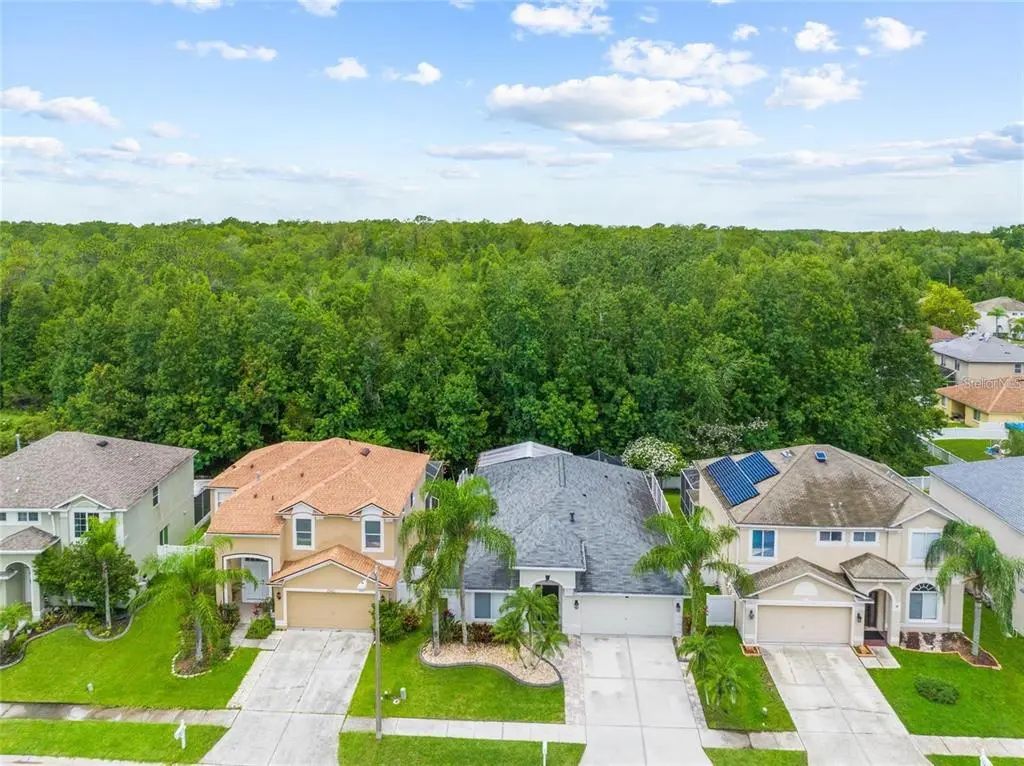 25354 Geddy Drive, LAND O LAKES