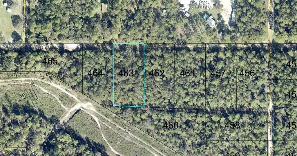 463 Division Street, HASTINGS