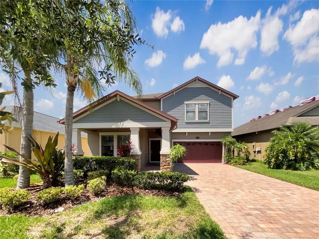 19491 Paddock View Drive, TAMPA