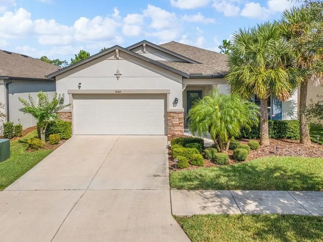 30415 Caravelle Lane, WESLEY CHAPEL