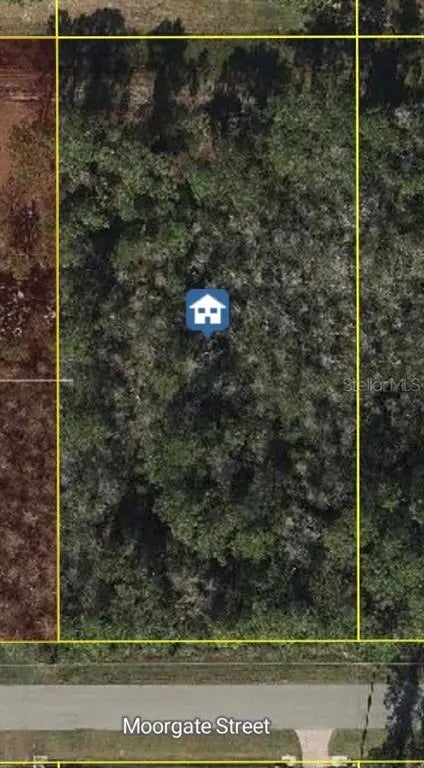 19650 Moorgate St, ORLANDO