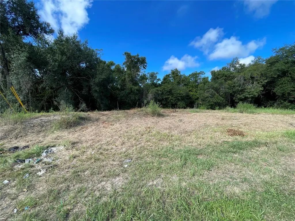 2427 Pecos Ln, POINCIANA